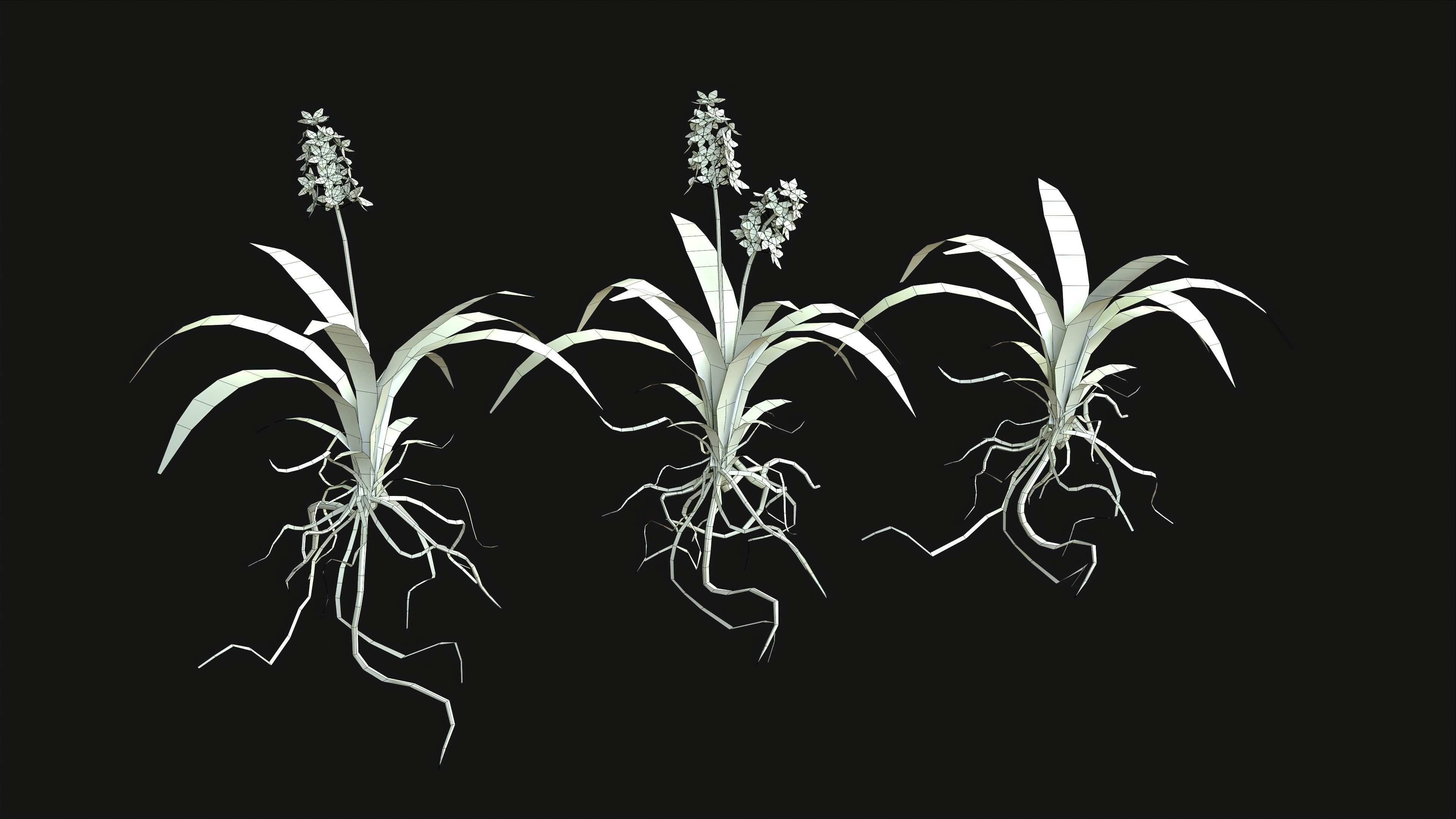 Acalypha Hispida - Grass Low-poly 3D model_23