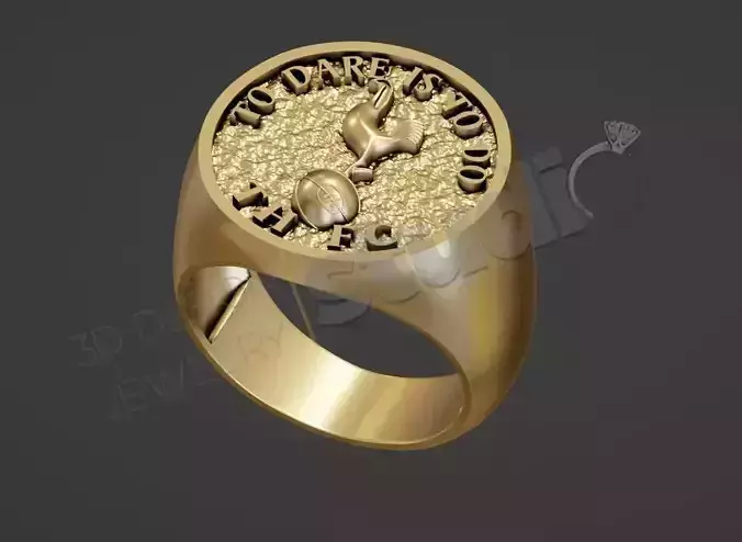 ring spurs  3d model 3D print model
