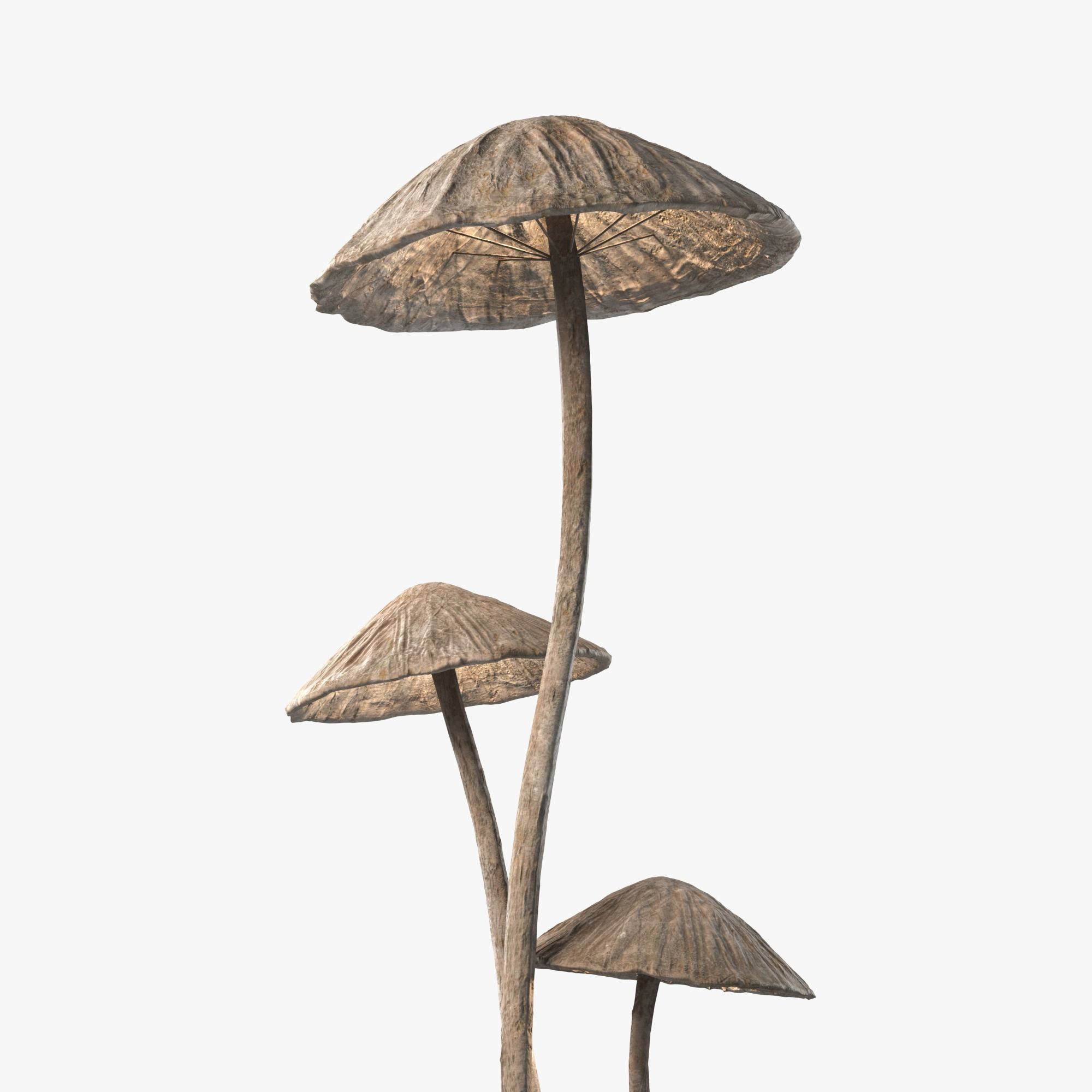 Floor Lamp Mushrooms 3D model_1