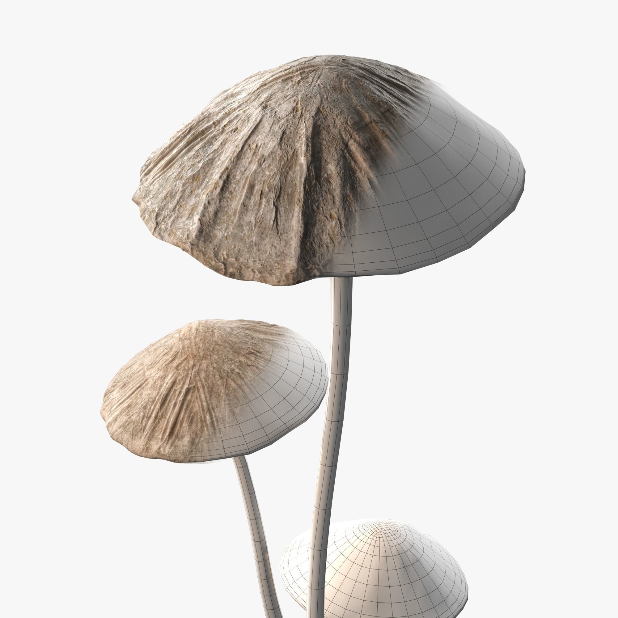 Floor Lamp Mushrooms 3D model_2