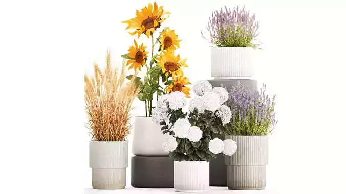 Set of beautiful plants and flowers in flowerpot 1307
