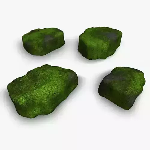 Cave Platform 3 - Moss 2