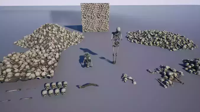Bones and Scull Low-poly 3D model
