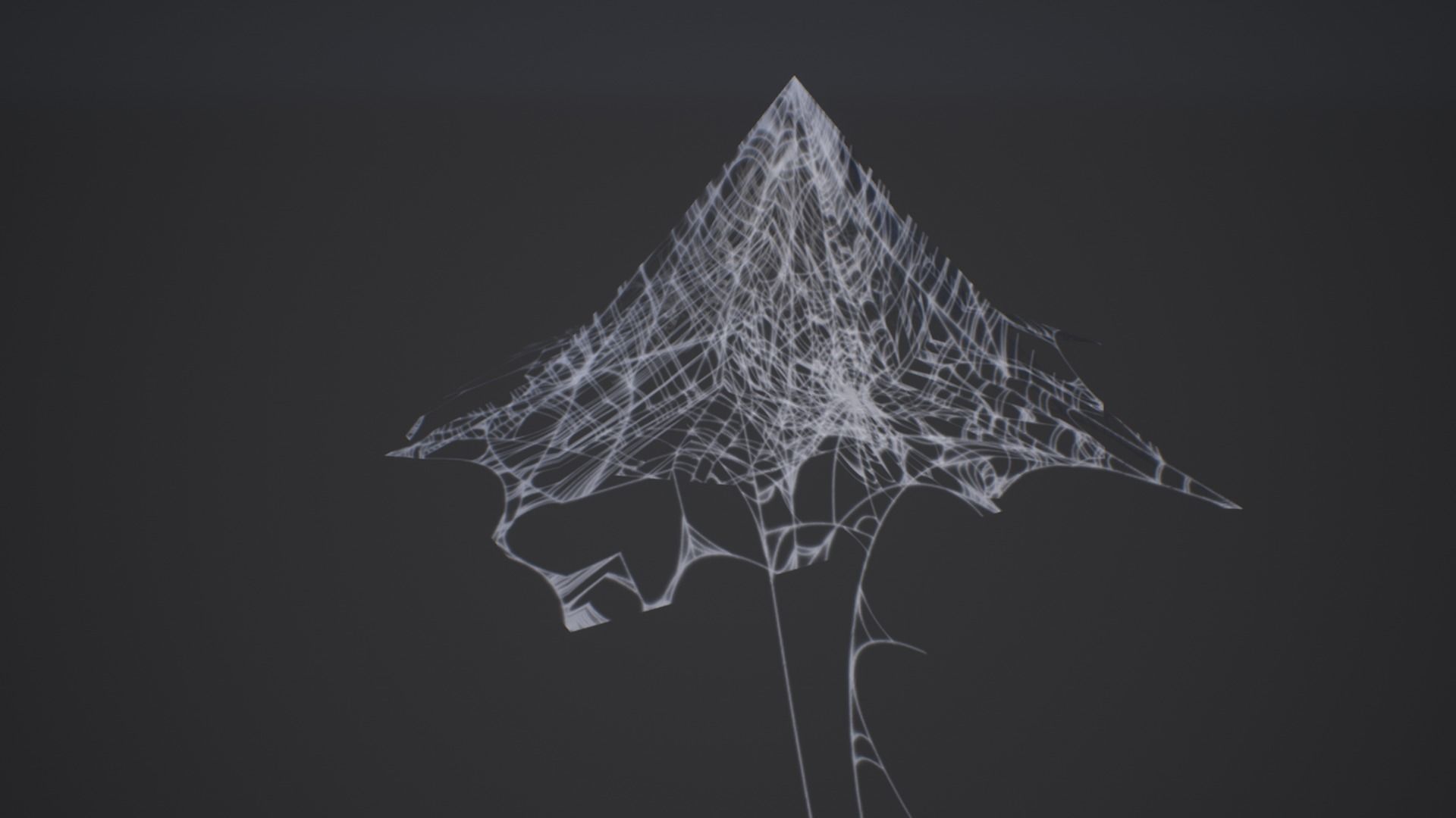 Spider Web Low-poly 3D model_4
