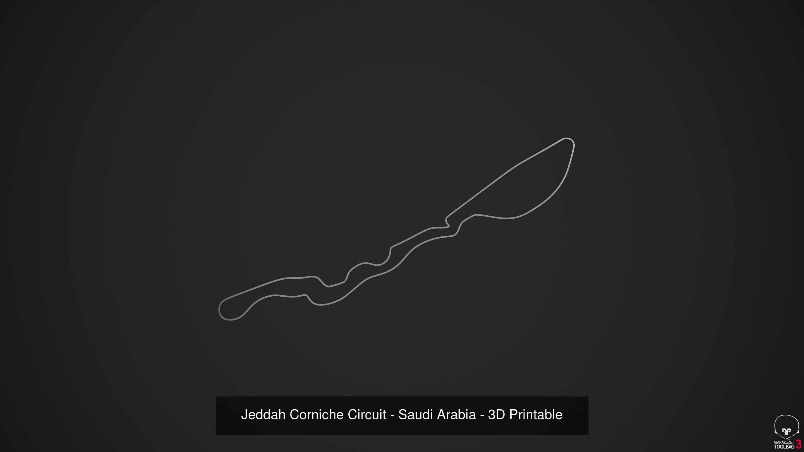 FIA Formula 1 World Championship 2021 - 3D Printable Tracks 3D Model Collection_70
