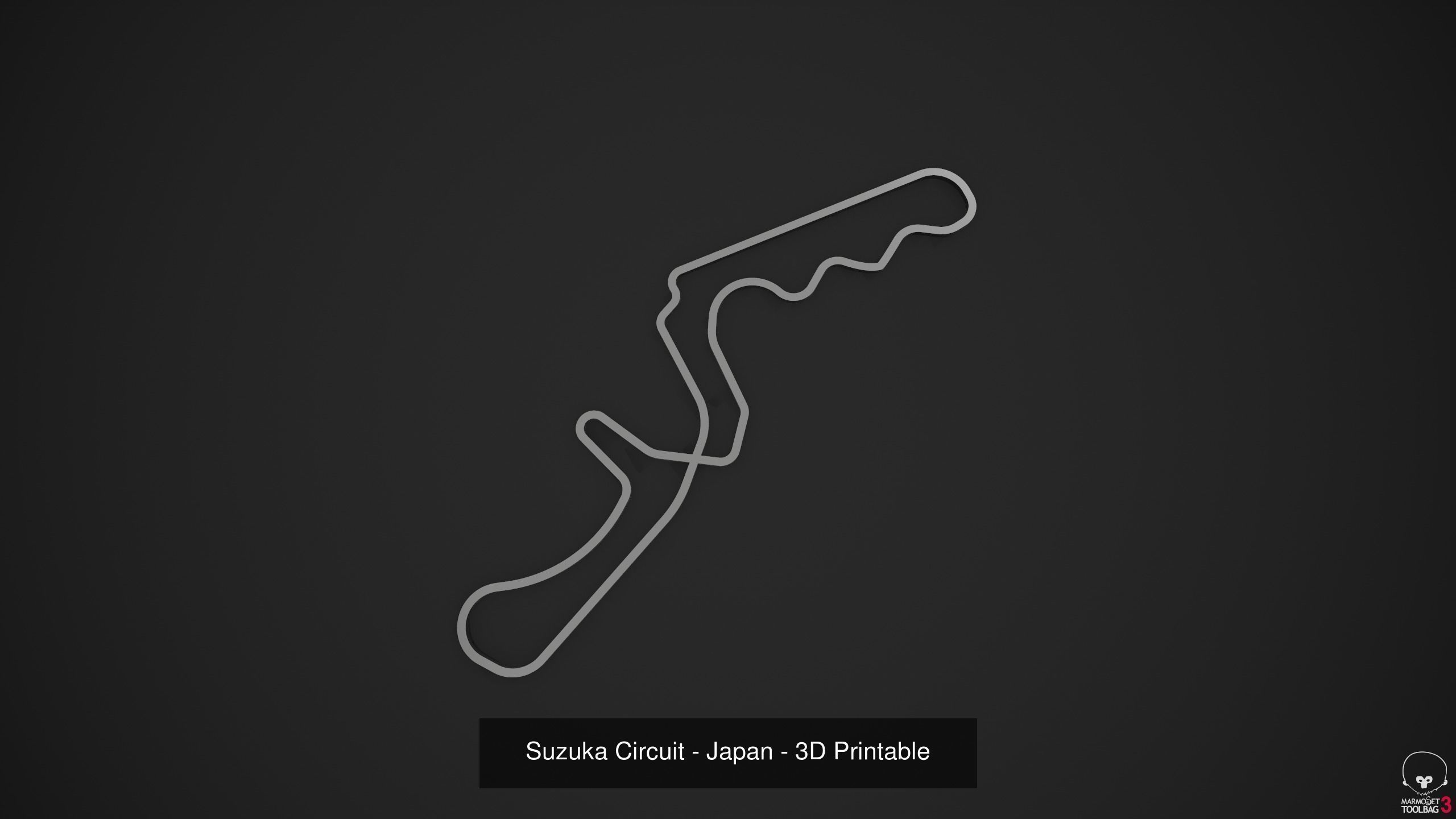 FIA Formula 1 World Championship 2021 - 3D Printable Tracks 3D Model Collection_66