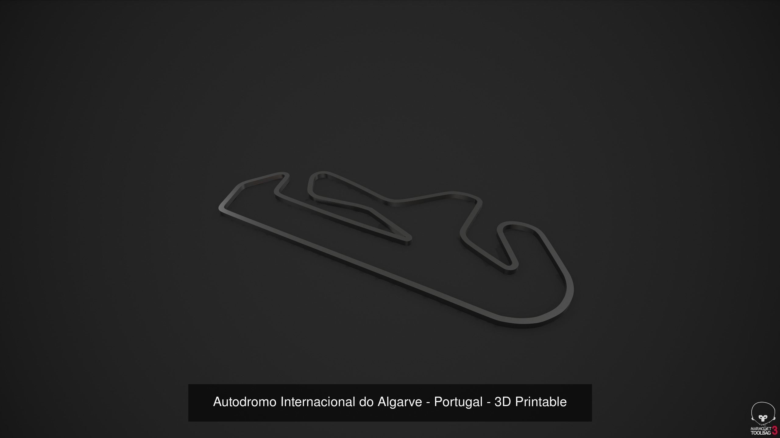 FIA Formula 1 World Championship 2021 - 3D Printable Tracks 3D Model Collection_73