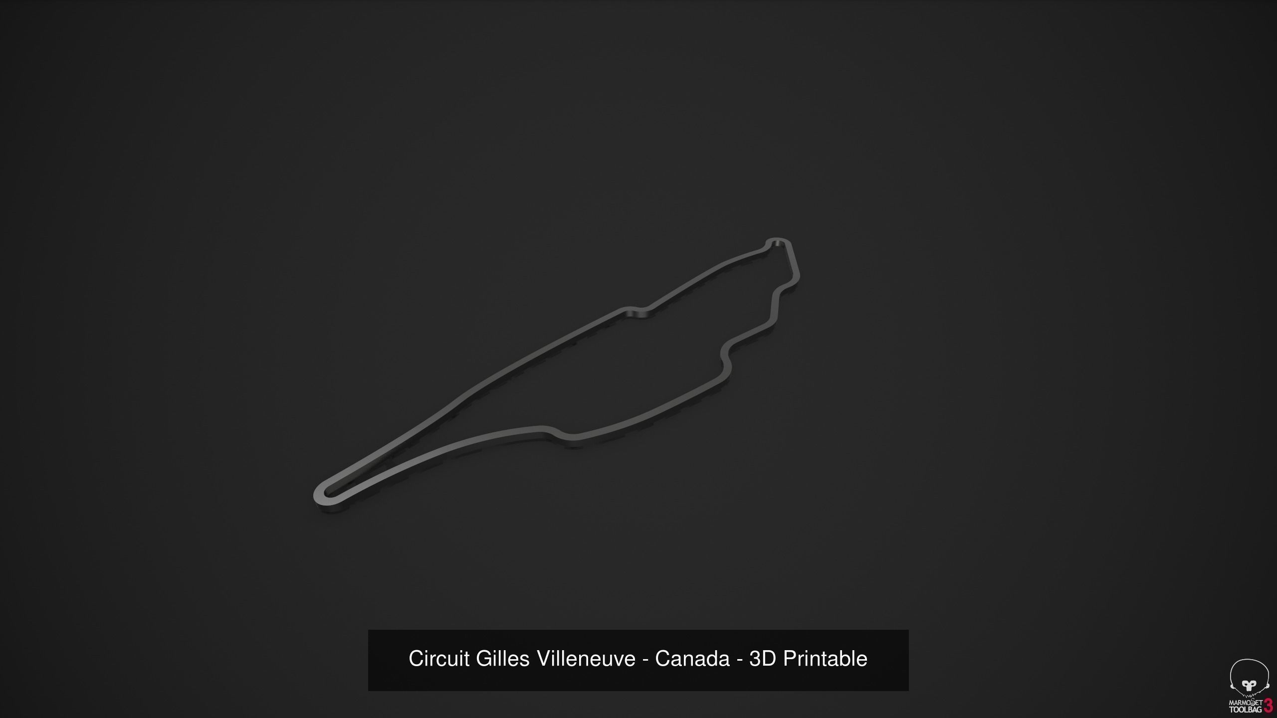 FIA Formula 1 World Championship 2021 - 3D Printable Tracks 3D Model Collection_48