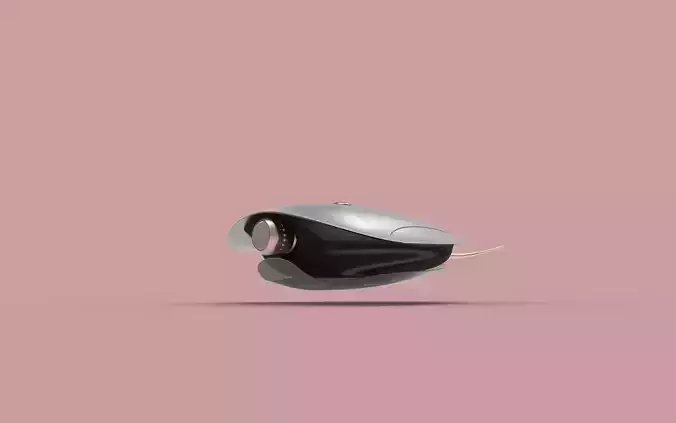 Stingrays 3d print concept model 3D print model