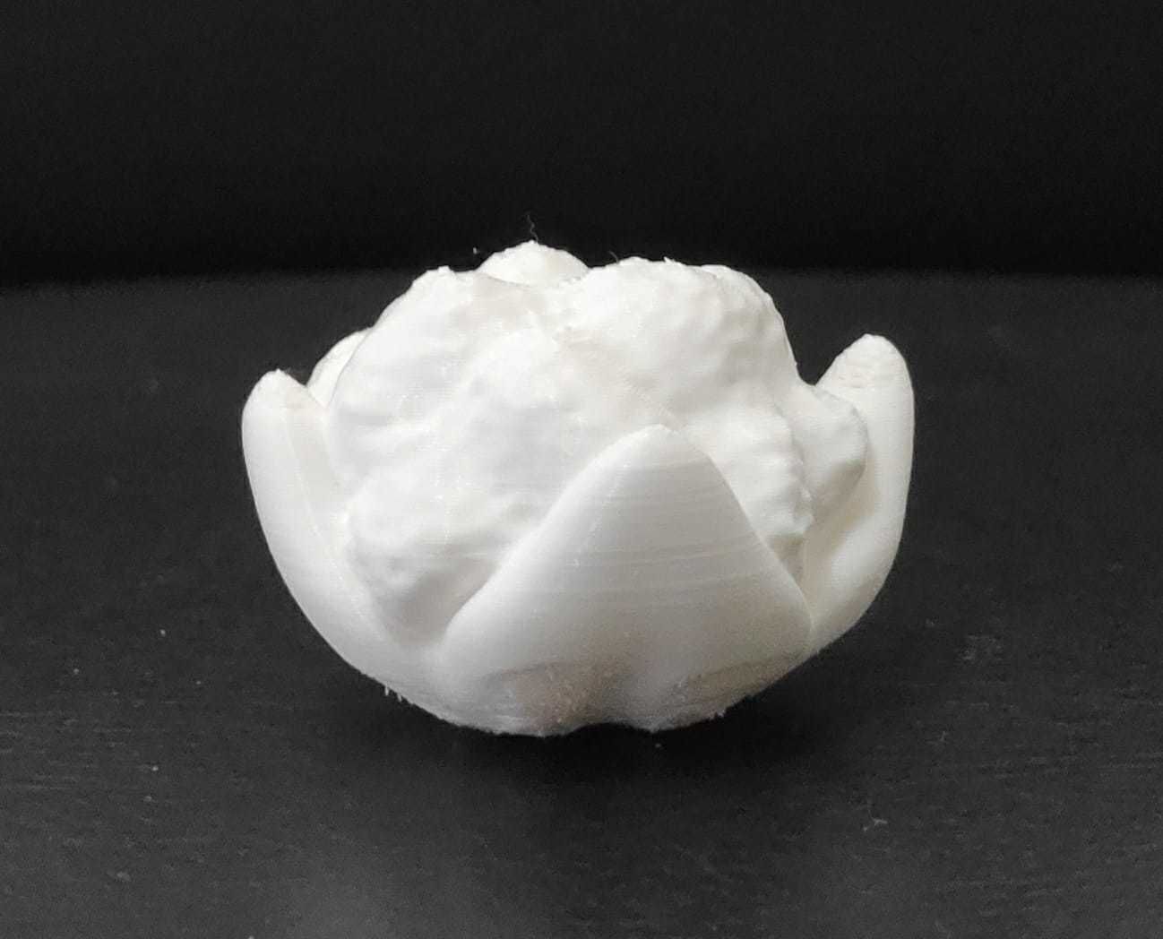 Cauliflower 3D print model_9