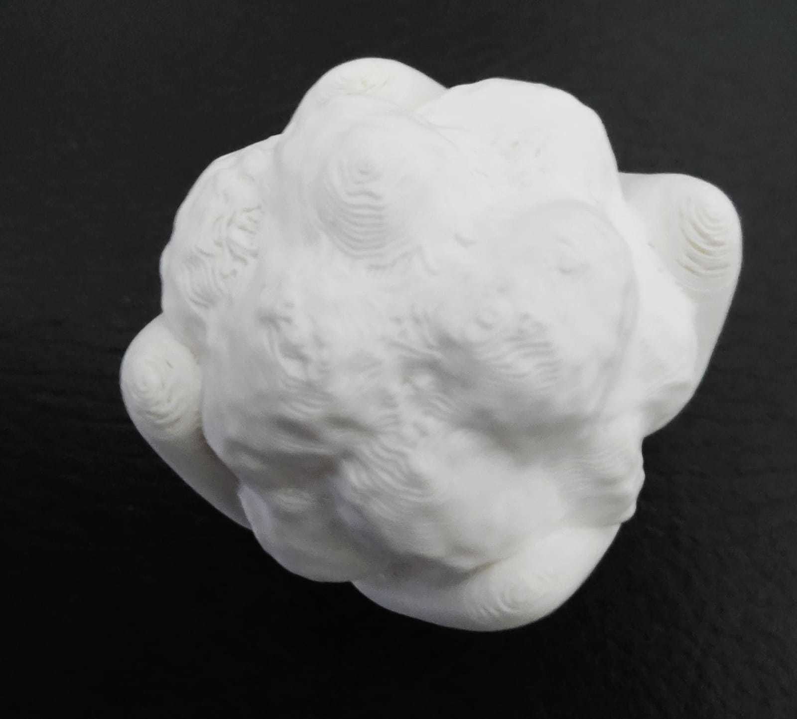 Cauliflower 3D print model_6