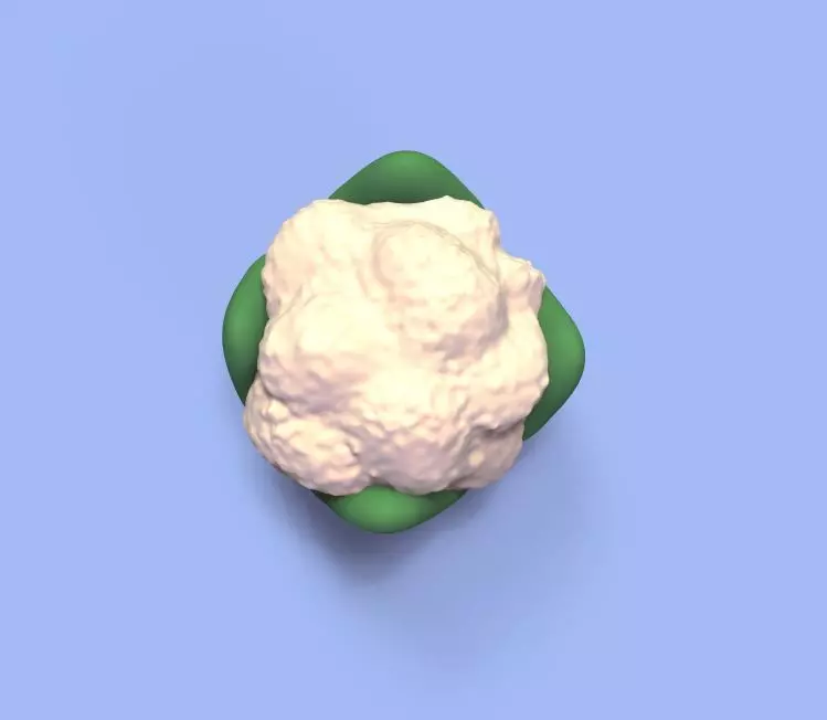 Cauliflower 3D print model_0