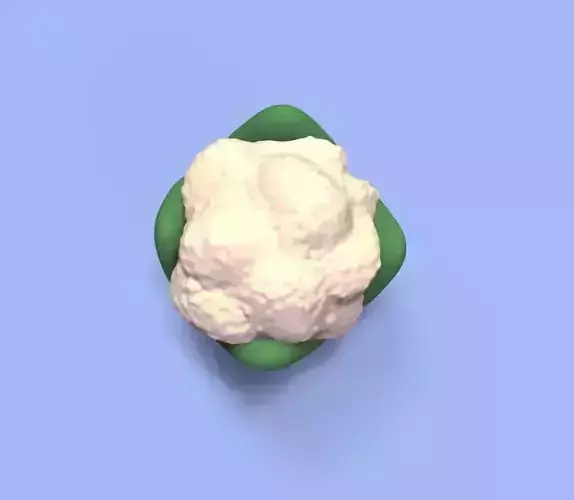 Cauliflower