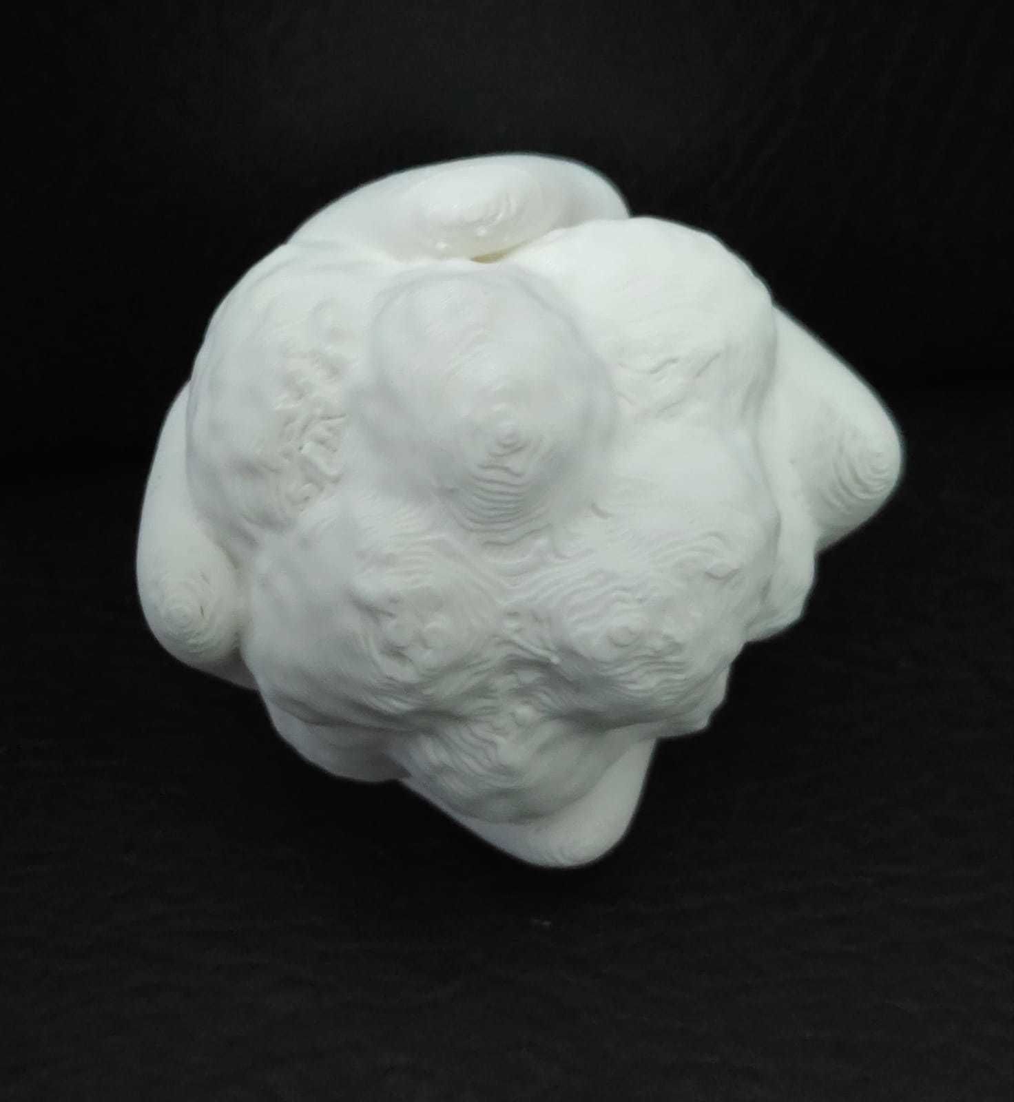 Cauliflower 3D print model_7