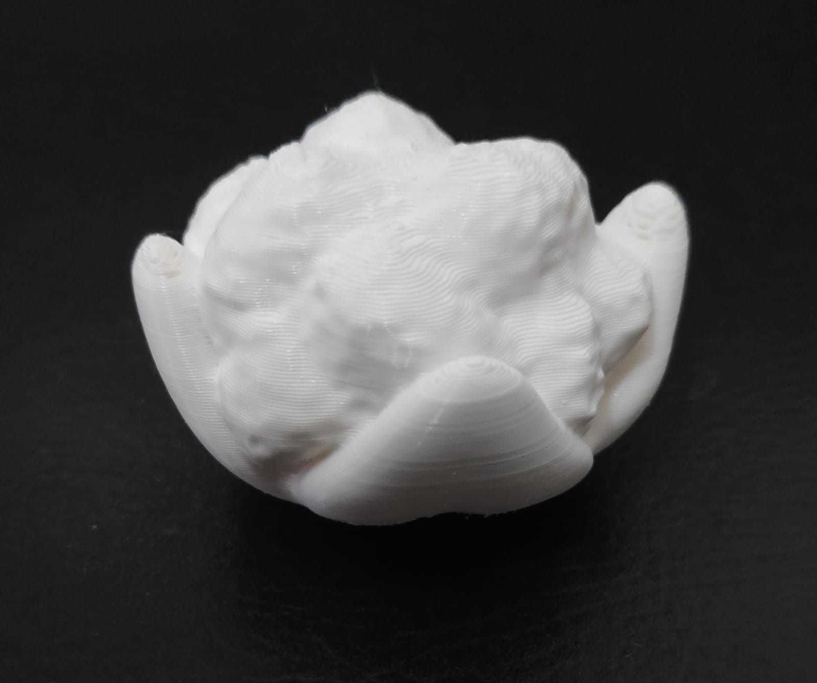 Cauliflower 3D print model_5