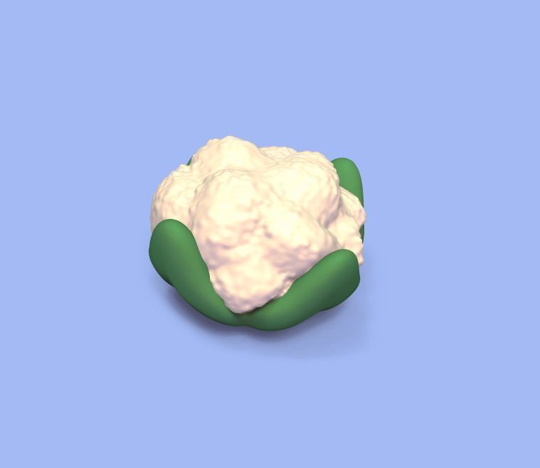 Cauliflower 3D print model_1