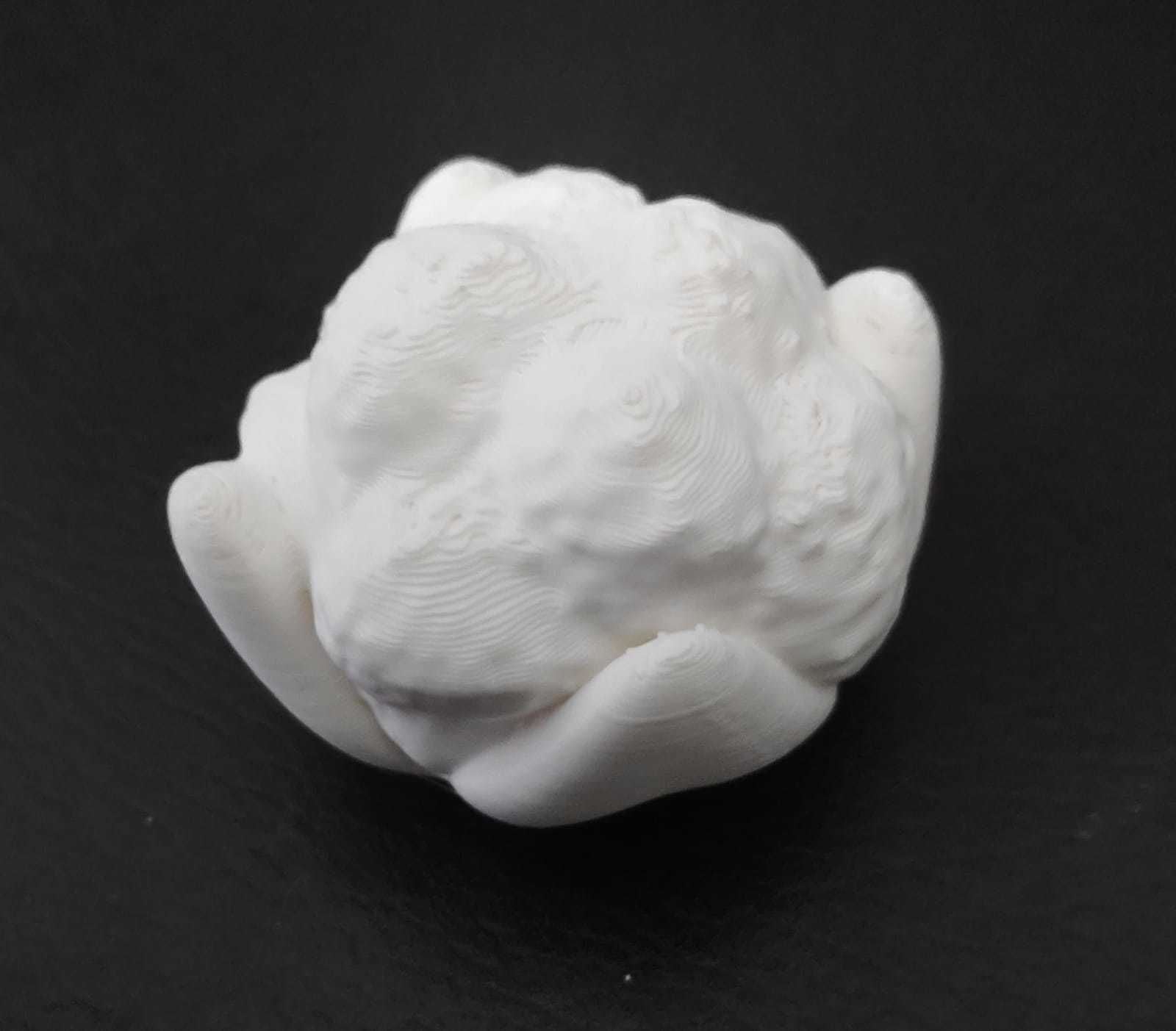 Cauliflower 3D print model_4