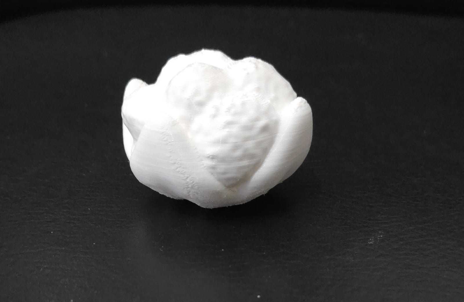Cauliflower 3D print model_8