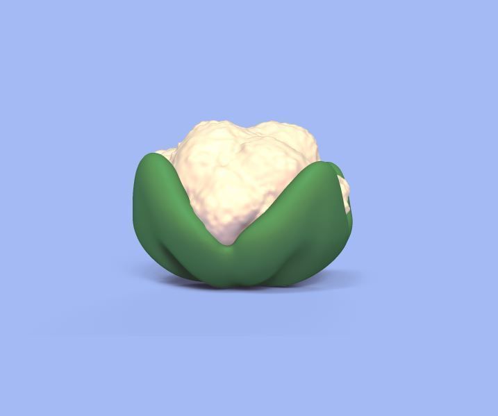 Cauliflower 3D print model_2
