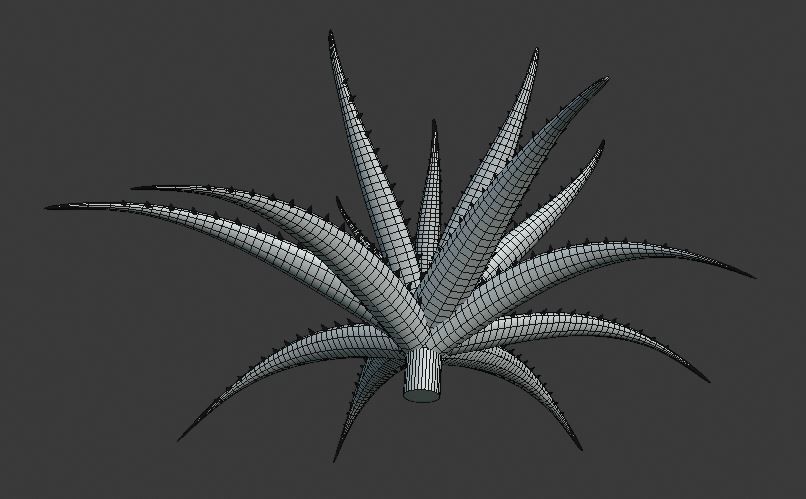 Aloe vera plant 3D model_11