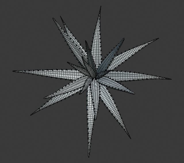 Aloe vera plant 3D model_13