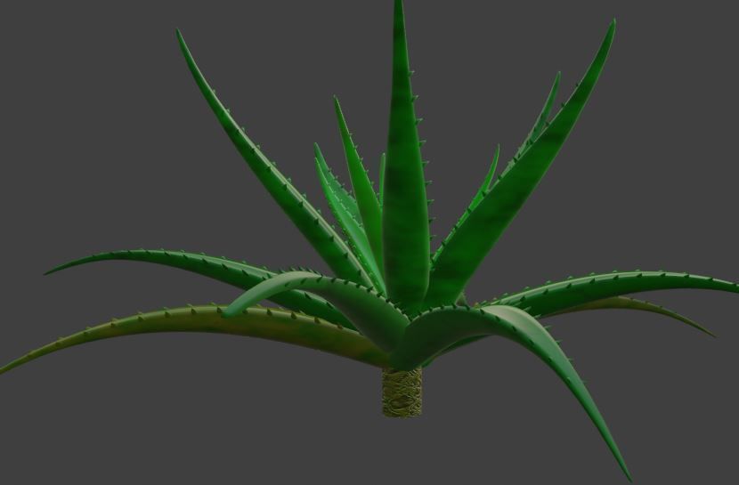 Aloe vera plant 3D model_3