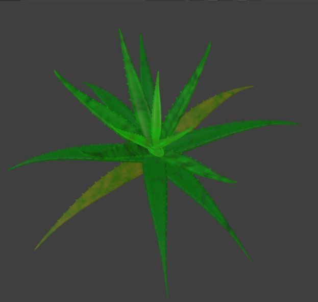 Aloe vera plant 3D model_5