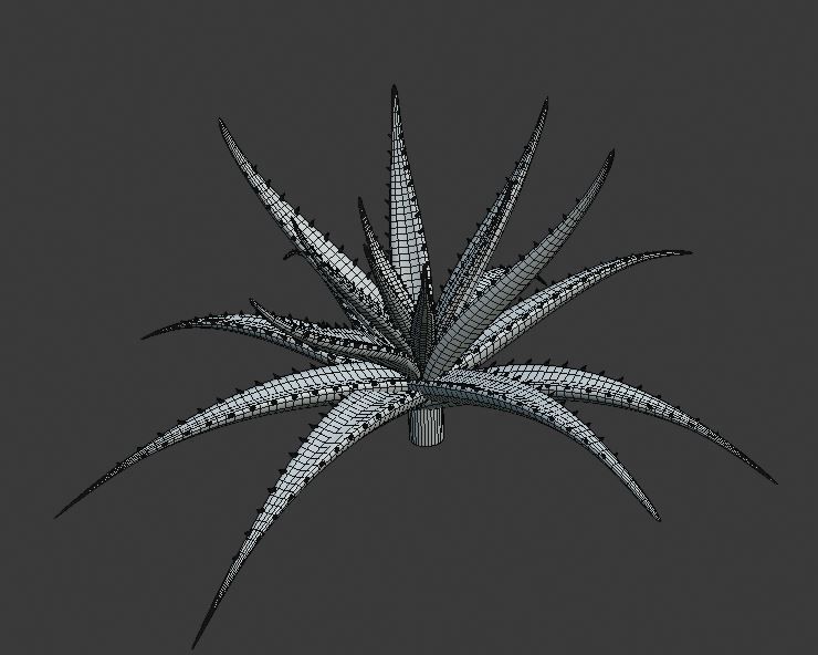 Aloe vera plant 3D model_12