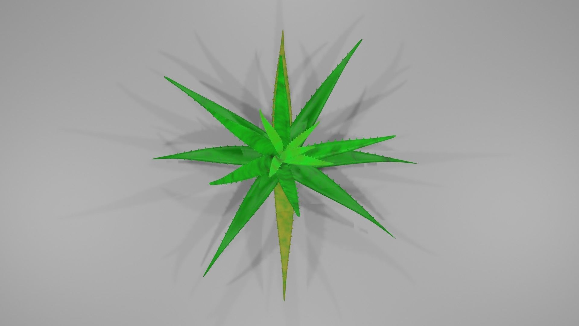 Aloe vera plant 3D model_10