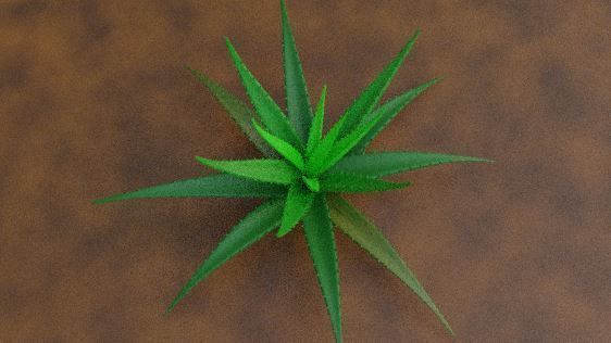Aloe vera plant 3D model_1