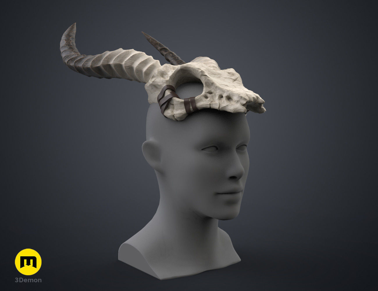 Shaman Skull with Horns 3D print model_20