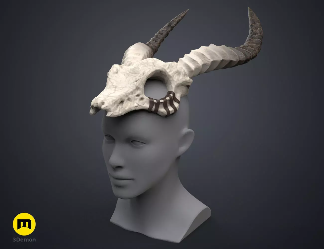 Shaman Skull with Horns 3D print model_0
