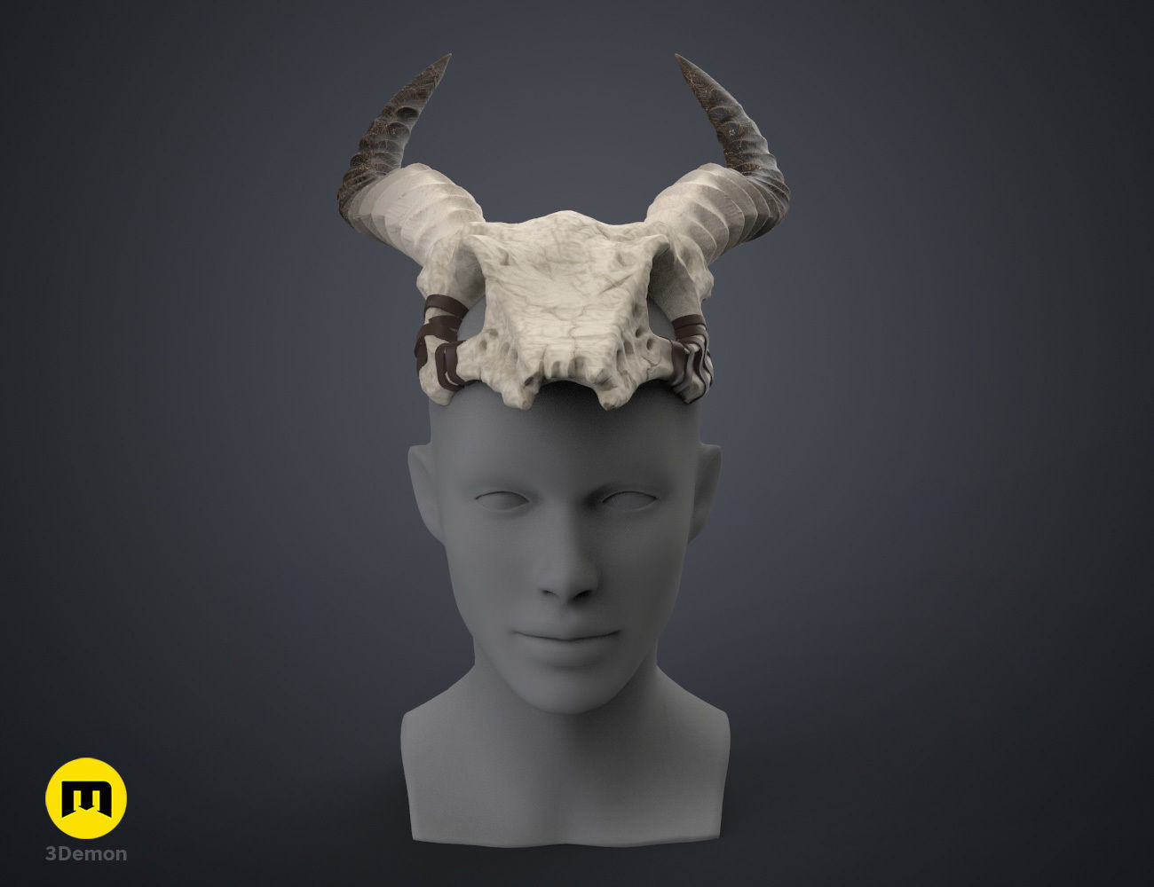 Shaman Skull with Horns 3D print model_1