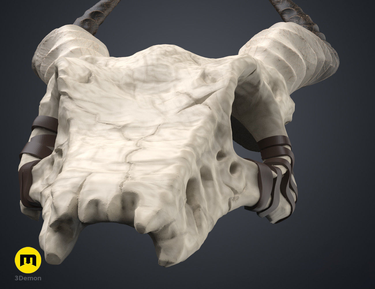 Shaman Skull with Horns 3D print model_16