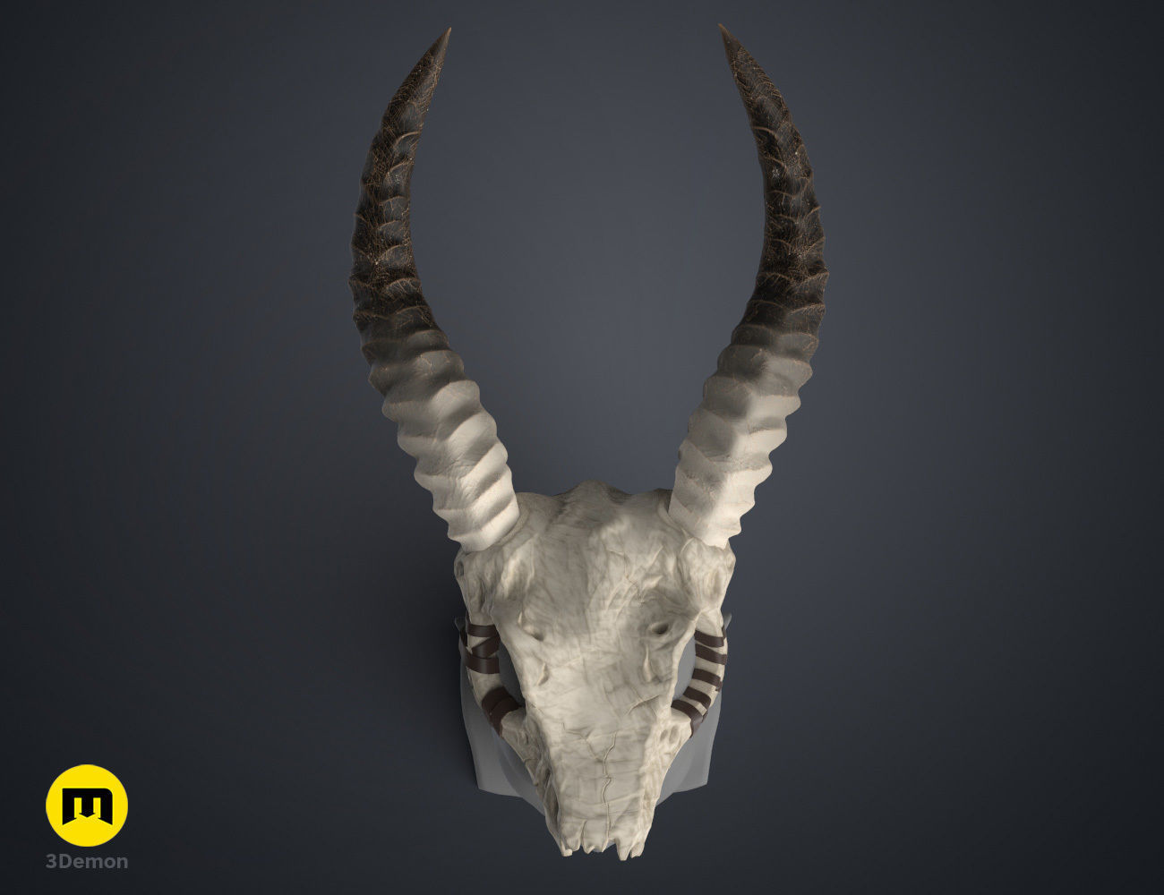 Shaman Skull with Horns 3D print model_4