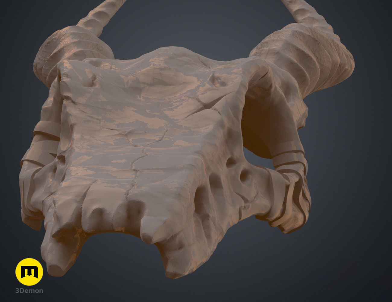 Shaman Skull with Horns 3D print model_9
