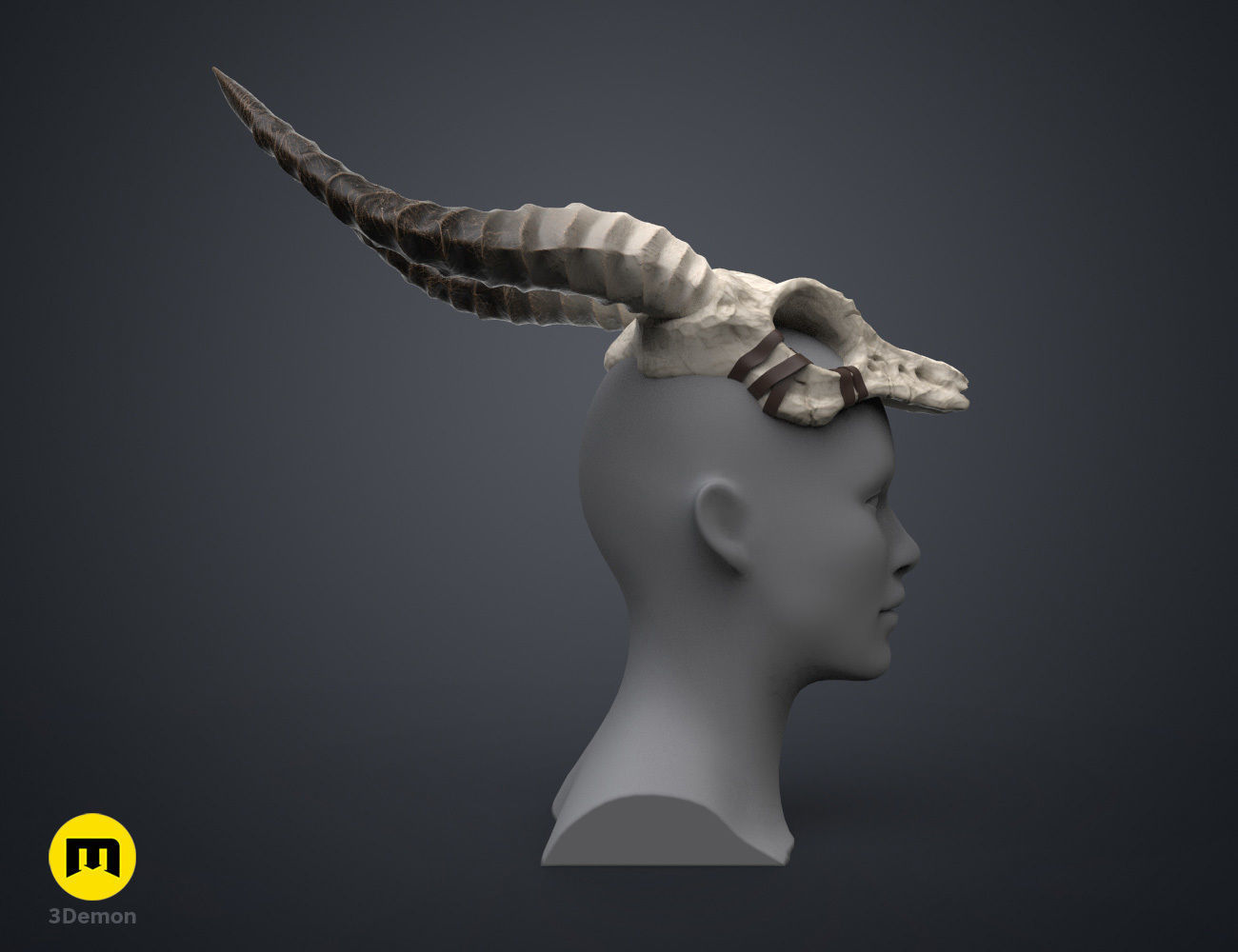 Shaman Skull with Horns 3D print model_2