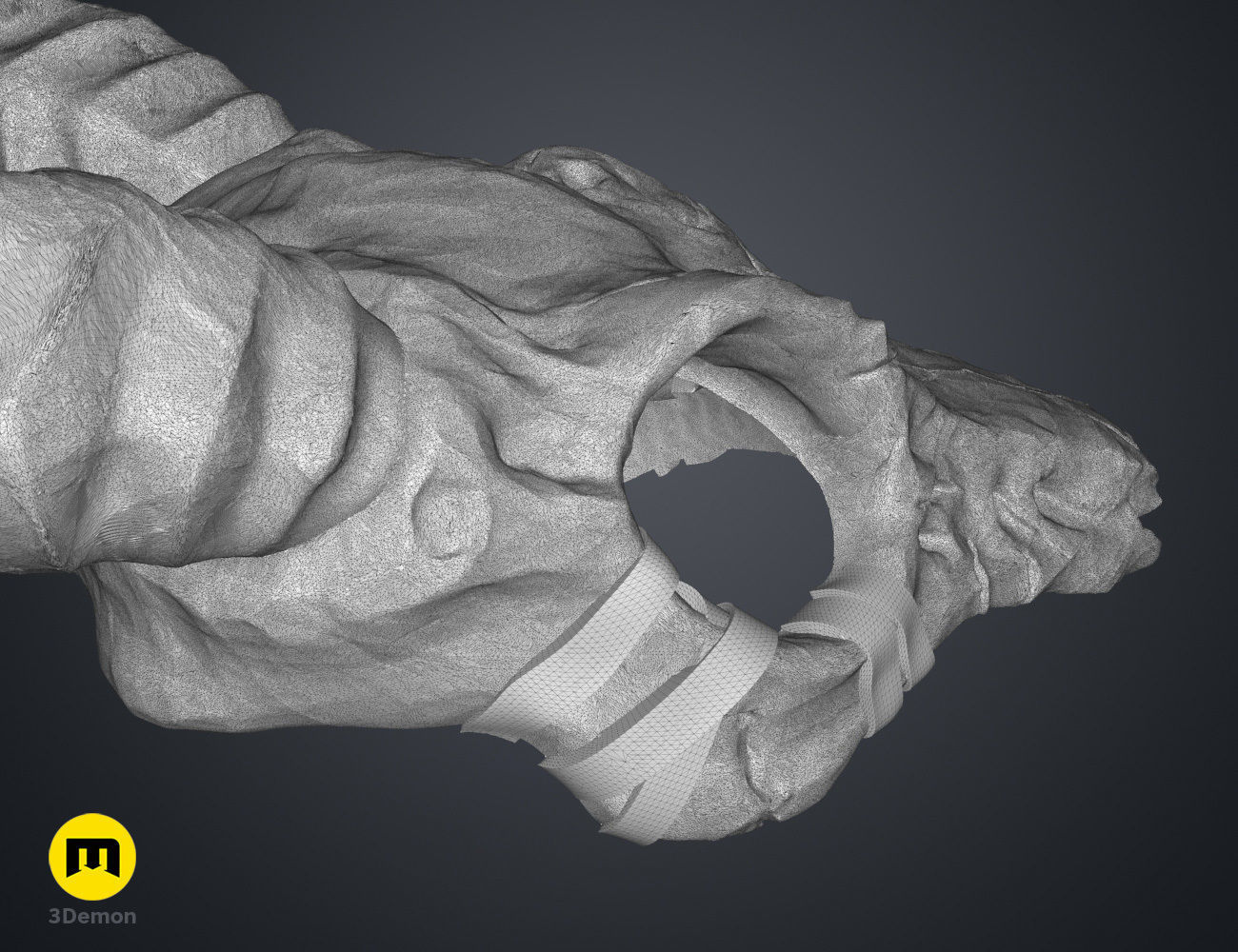 Shaman Skull with Horns 3D print model_12