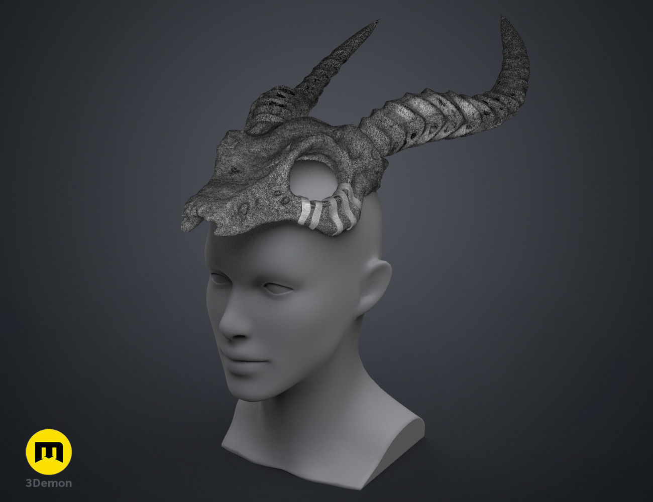 Shaman Skull with Horns 3D print model_8