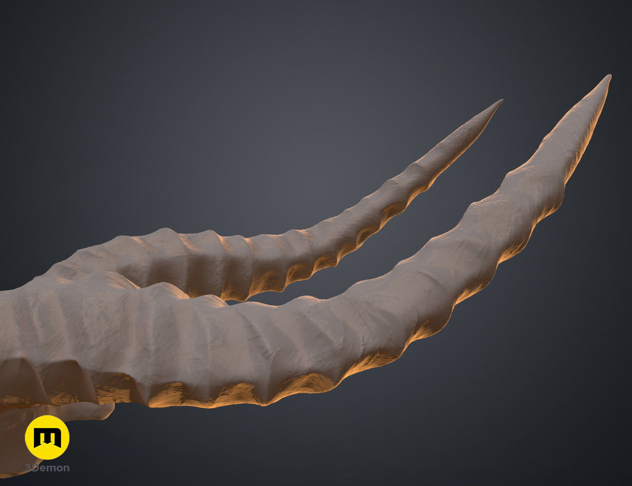 Shaman Skull with Horns 3D print model_13