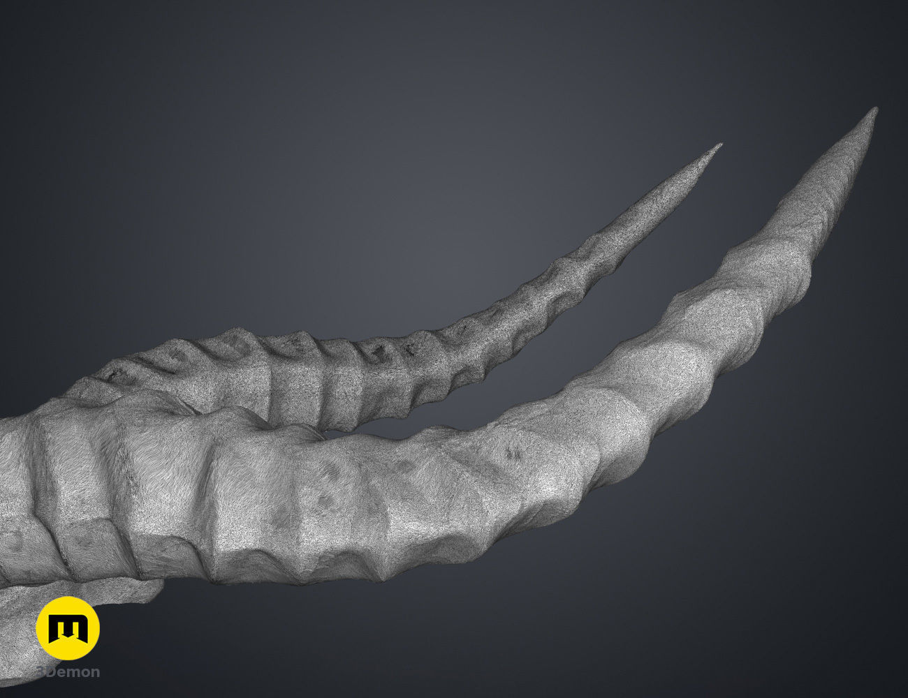 Shaman Skull with Horns 3D print model_14