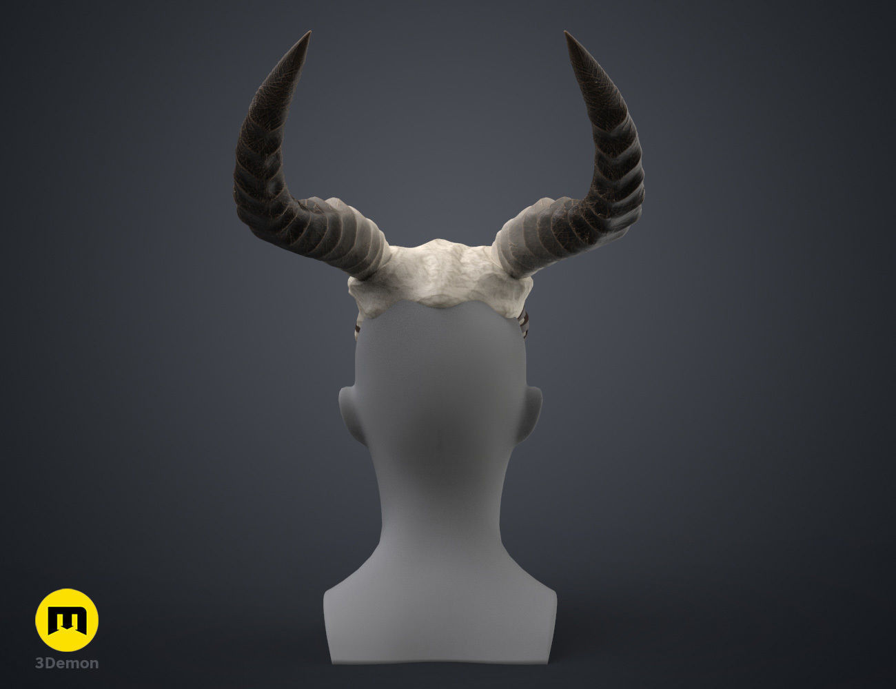Shaman Skull with Horns 3D print model_3