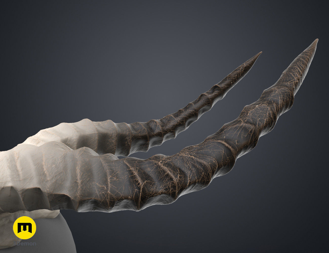 Shaman Skull with Horns 3D print model_17
