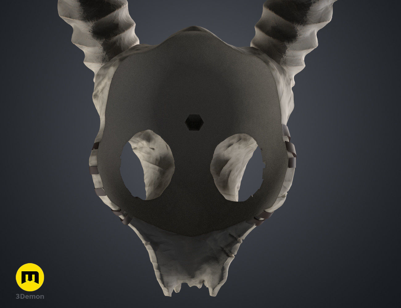 Shaman Skull with Horns 3D print model_15