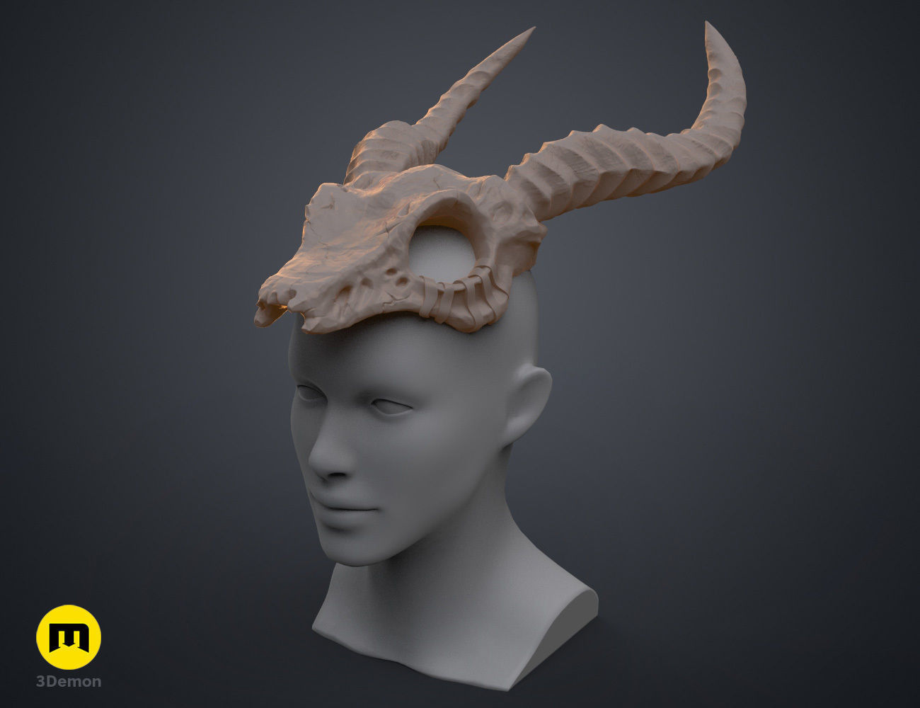 Shaman Skull with Horns 3D print model_7