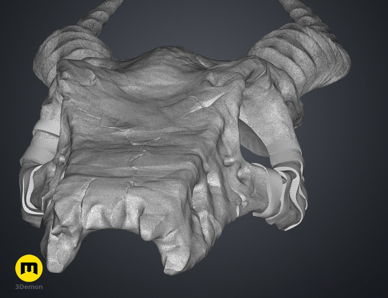 Shaman Skull with Horns 3D print model_10
