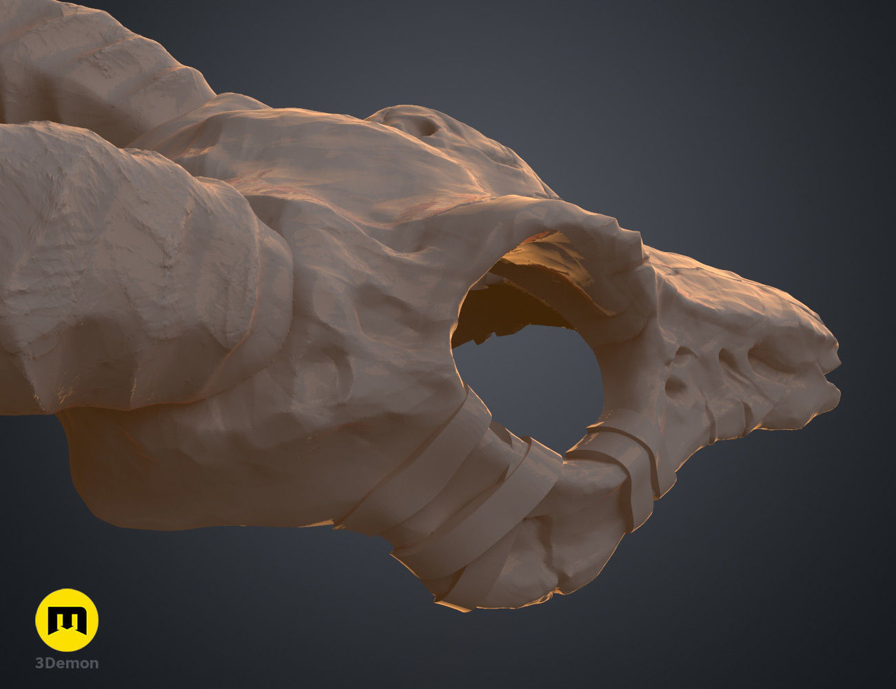 Shaman Skull with Horns 3D print model_11