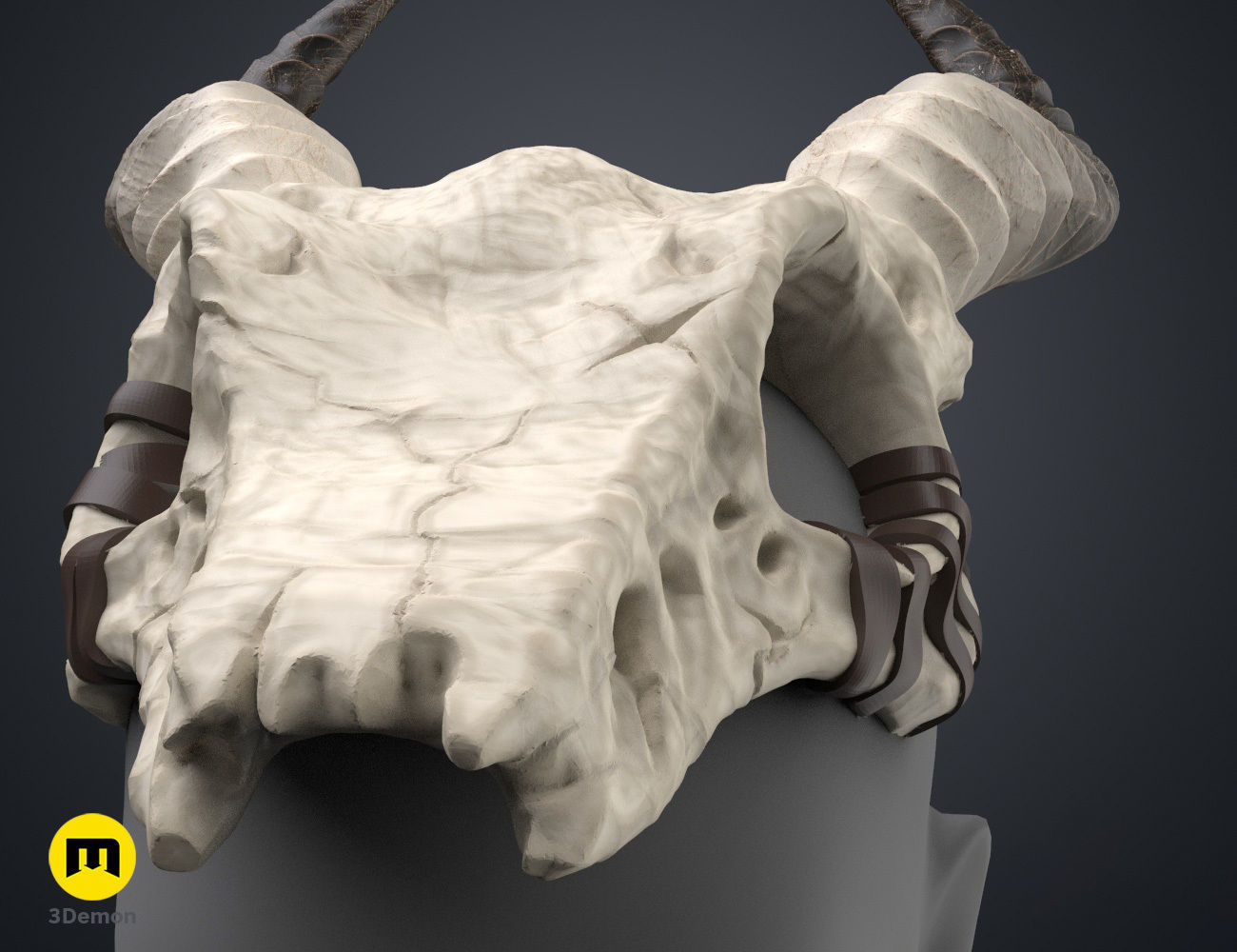 Shaman Skull with Horns 3D print model_19