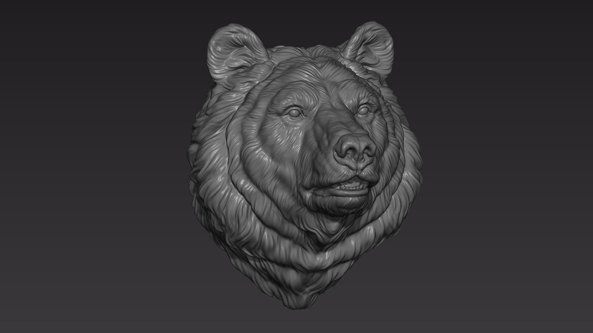 Bear head shaggy 3D print model_4