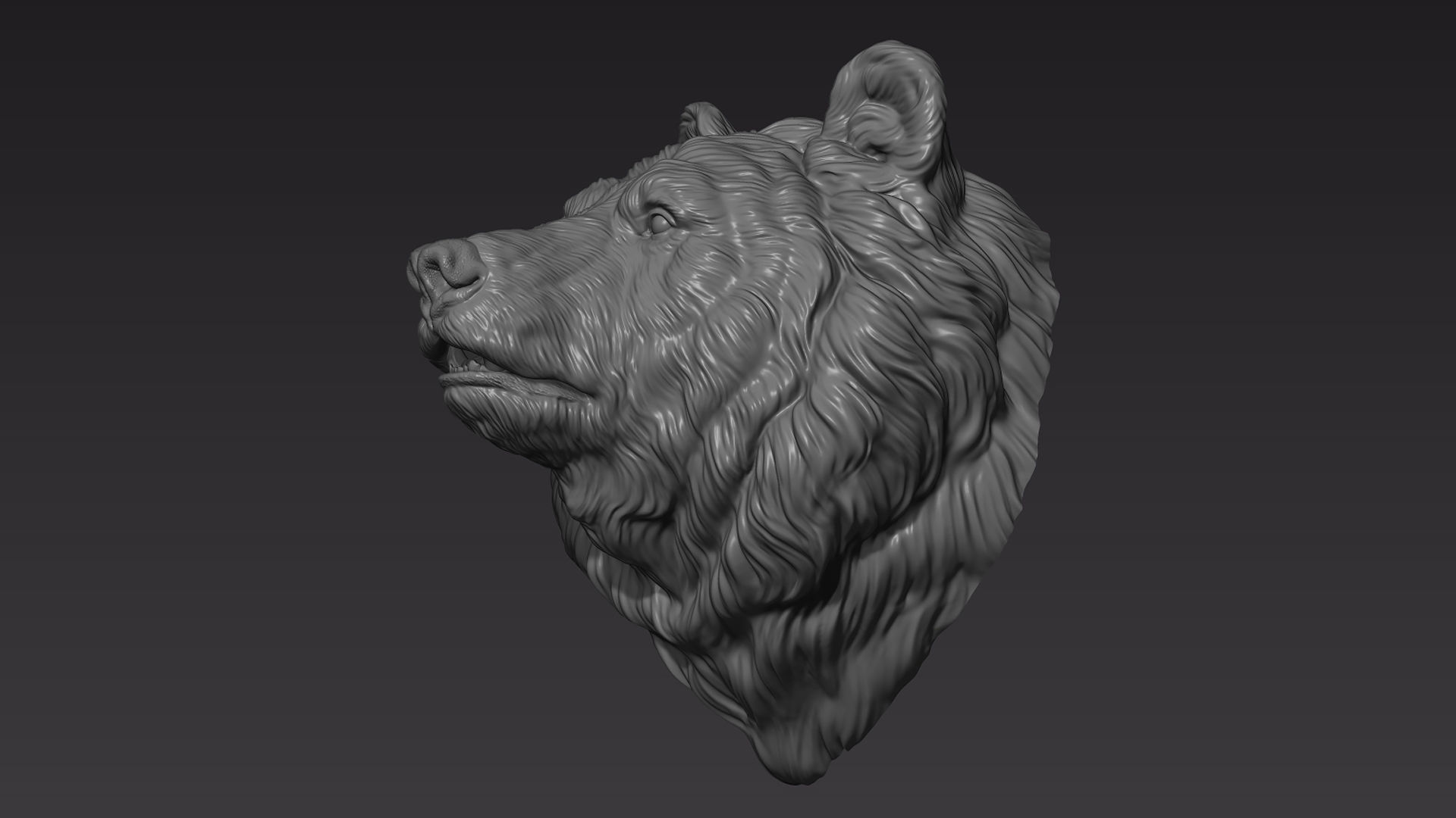 Bear head shaggy 3D print model_9
